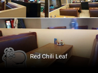 Red Chili Leaf book online