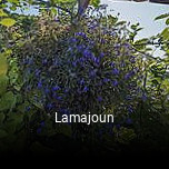 Lamajoun reservation
